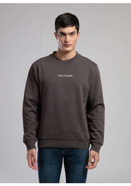 Yuvarlak Yaka Kahve Erkek Sweatshırt 261 Lcm 241042 Dorres Kahve fiyatları