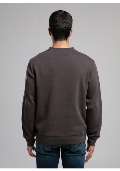 Yuvarlak Yaka Kahve Erkek Sweatshırt 261 Lcm 241042 Dorres Kahve fırsatları