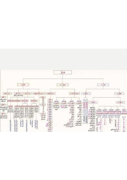 Avamil Şeması fiyatları