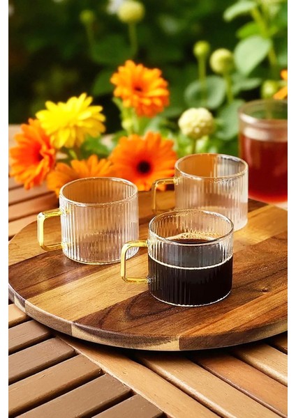 Clavera 6’lı Kulplu Cam Çay Kahve Espresso Bardak Fincan Seti 150 ml fiyatları