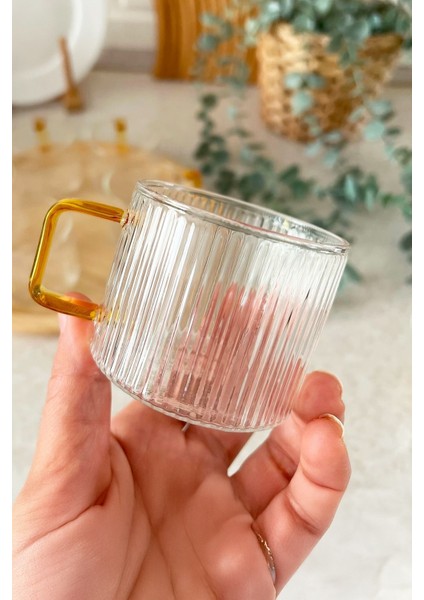 Clavera 6’lı Kulplu Cam Çay Kahve Espresso Bardak Fincan Seti 150 ml fırsatları