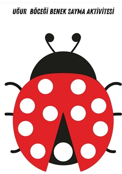 Uğur Böceği ile Saymayı Öğreniyorum (Cırt Cırtlı)