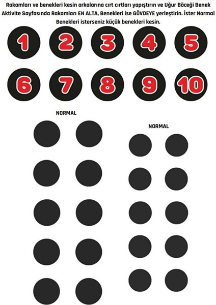 Uğur Böceği ile Saymayı Öğreniyorum (Cırt Cırtlı) fiyatları