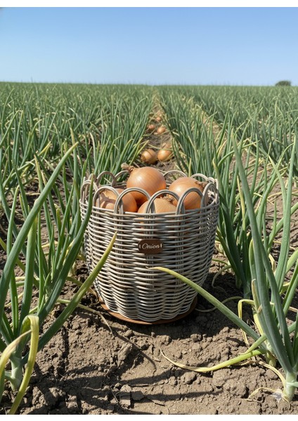 Raddancore Büyük Boy Soğanlık/soğan Sepeti fırsatları