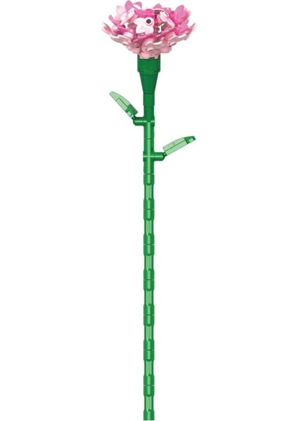 Bfs Karanfil Buketi 8803