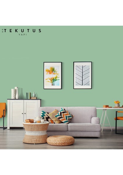 Momento Silan Silikonlu Iç Cephe Boyası 15 L Sarmaşık / S-833 modelleri