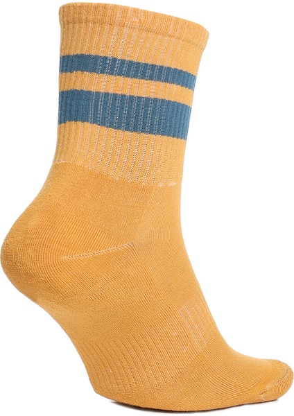 Piove 2'li Unisex Günlük Stil Çorap 23KUAL19D02-MUL3 fiyatları