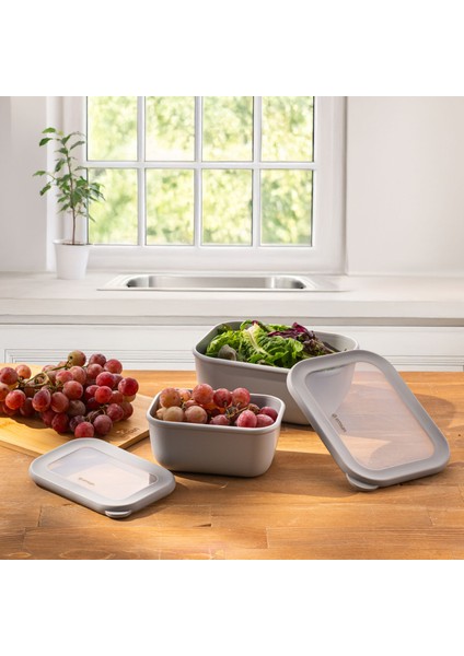 Lora 2'li Saklama Kabı Gri