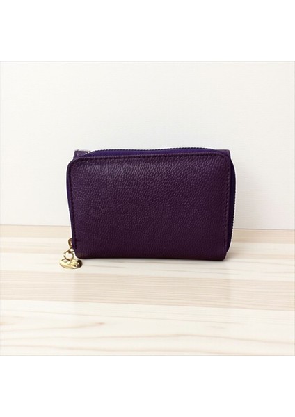 Davıd Polo Kapaklı Kadın Cüzdan modelleri