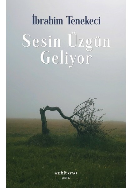 Sesin Üzgün Geliyor