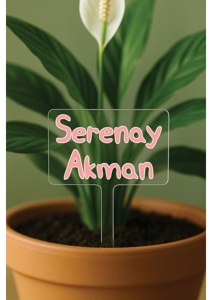 Kişiye Özel Isim Kelime Yazılı Uv Baskılı Şeffaf Dekoratif Pleksi Saksı Süsü - Model 6