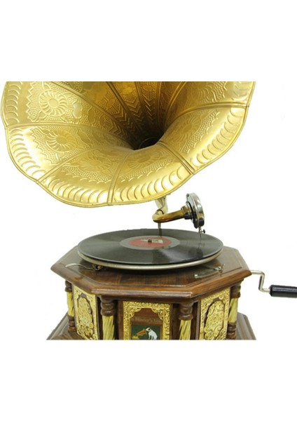Gramofon Plakçalar 533 Sekizgen Bronz Kakma Kurmalı ASIG523DB modelleri