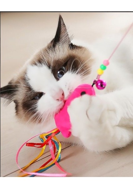 Balıklı Kedi Oyun Oltası 90 cm – Kedi Oyuncağı | Kedi Oltası Balıklı Katlanabilir Oyun Çubuğu indirimleri