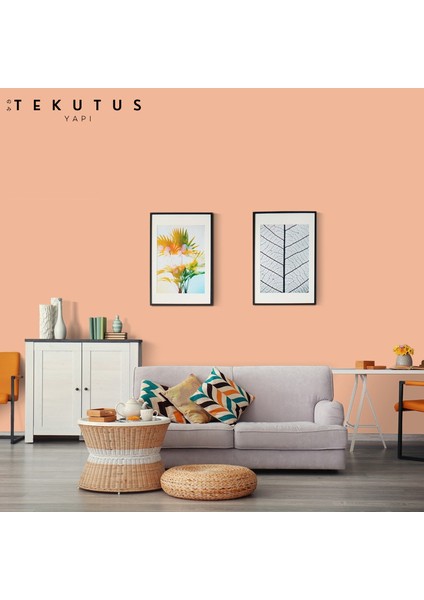 Momento Silan Silikonlu Iç Cephe Boyası 15 L Cİ-7111 / 4240 Elegan Somon modelleri