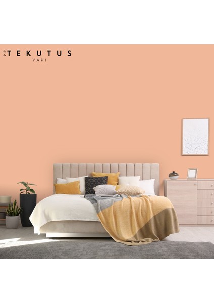 Momento Silan Silikonlu Iç Cephe Boyası 15 L Cİ-7111 / 4240 Elegan Somon indirimleri