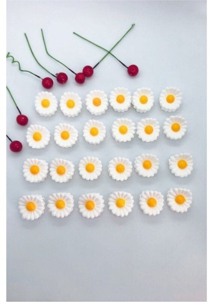 24 Adet Minik Papatya Mandal Toka fiyatları