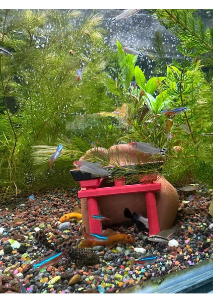 Tapınak Temalı Akvaryum Dekoru