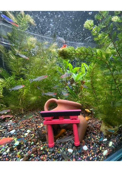 Tapınak Temalı Akvaryum Dekoru