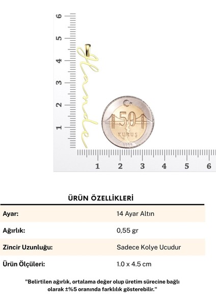 Dik Imza Isimli 14 Ayar Altın Kolye Ucu indirimleri