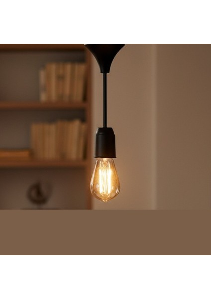 Siyah Porselen Tijli Duy E27 + Edison Ampul Seti – Modern Retro Tavan Aydınlatma fiyatları