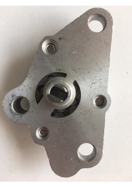 Cup Yağ Pompası Komple modelleri