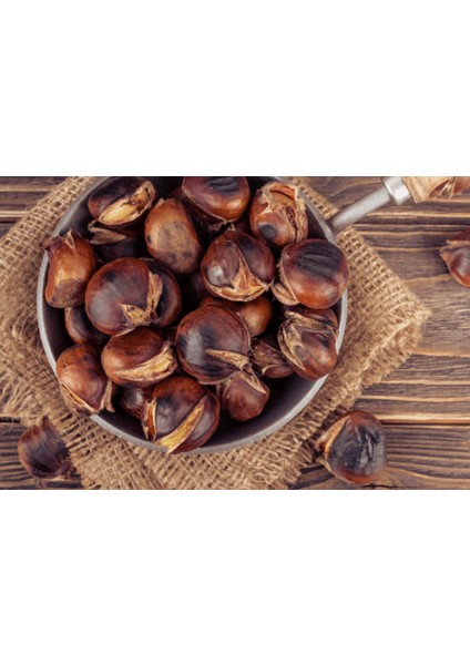 Gümeli Aşı Kestanesi - Duble Büyük Boy, Yeni Sezon Taze Doğal (2 Kg) fiyatları