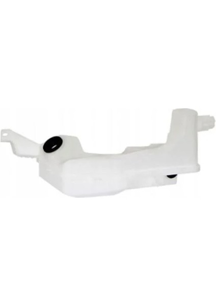 CAM YIKAMA DEPOSU CAPTUR MAIS 289106245R