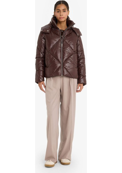 Su Geçirmez Regular Fit Kapüşonlu Mont F2823AX25WN fiyatları