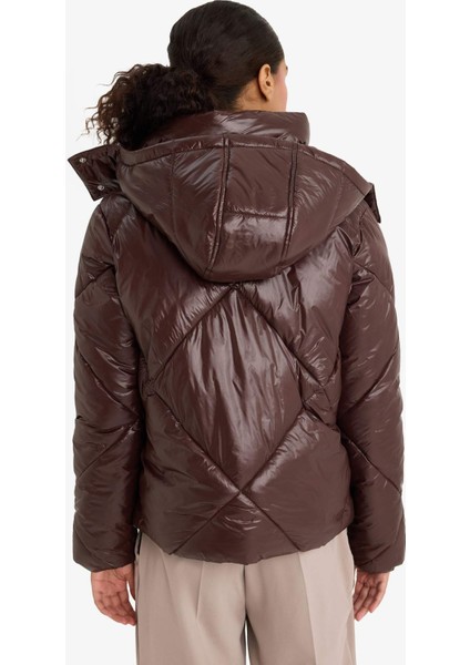 Su Geçirmez Regular Fit Kapüşonlu Mont F2823AX25WN