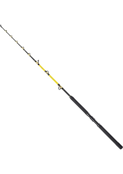 Beastmaster Cx Stand-Up Spiral 165 cm 80 Lbs Trolling Kamışı