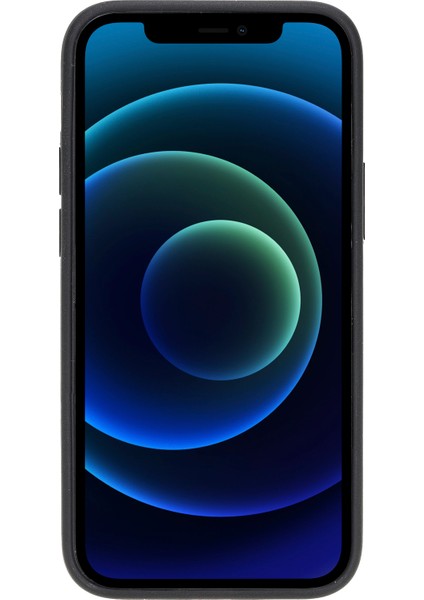 Apple iPhone 12 Mini Uyumlu Deri Arka Kapak Rst1 Siyah fiyatları