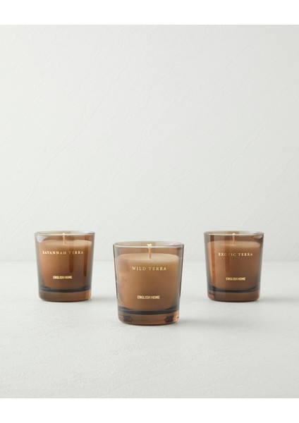 Savannah Terra Kokulu Mum 120 gr Şeffaf fırsatları