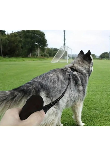 Reflektörlü Köpek Gezdirme Kayışı – 120 cm fırsatları