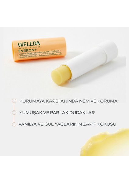 Everon Dudak Balmı 4.8gr fiyatları