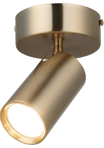 Spotte Tekli Antık Lak Plafonyer