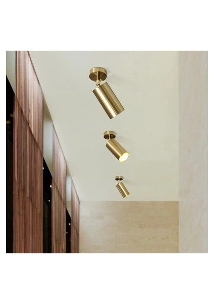 Spotte Tekli Antık Lak Plafonyer fiyatları