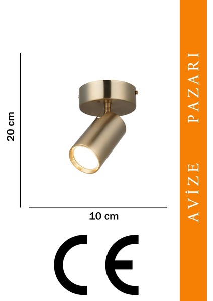 Spotte Tekli Antık Lak Plafonyer modelleri