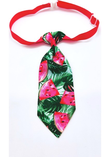 Ayarlanabilir Kedi ve Köpek Kravatı, Yeşilli Karpuz Dilimli fiyatları