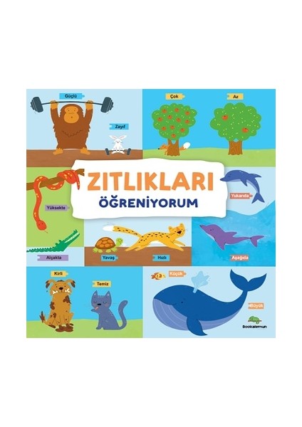 Zıtlıkları Öğreniyorum