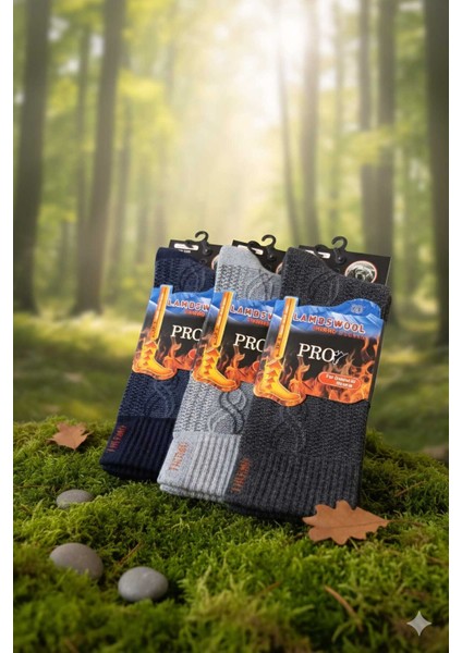 Havlu Lambswool (Yün) Thermal Erkek Çorap, Asorti , 3'lü Paket