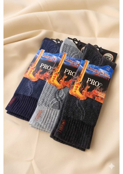 Havlu Lambswool (Yün) Thermal Erkek Çorap, Asorti , 3'lü Paket fiyatları