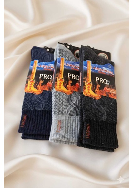 Havlu Lambswool (Yün) Thermal Erkek Çorap, Asorti , 3'lü Paket modelleri