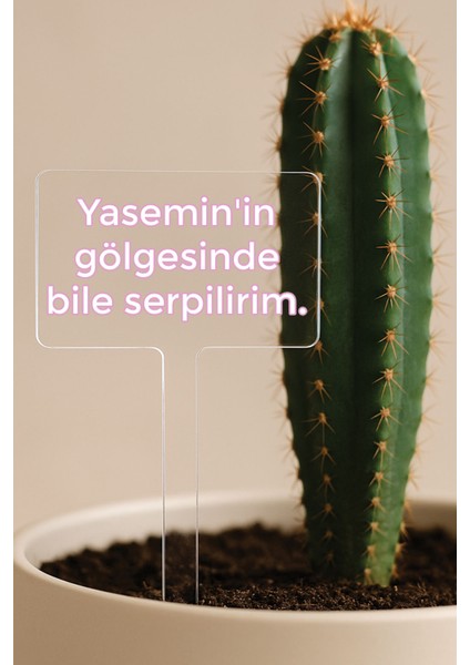 Kişiye Özel Isim Kelime Yazılı Uv Baskılı Şeffaf Dekoratif Pleksi Saksı Süsü - Tsrm 19