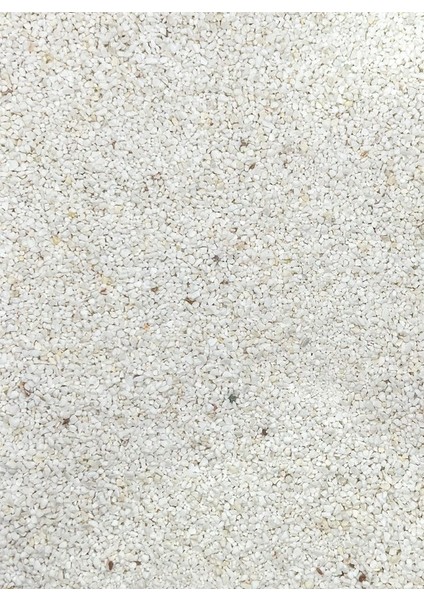 Premium Beyaz Akvaryum Kumu 1-3 mm 2 kg - Bitkili Akvaryumlara Uygun fiyatları