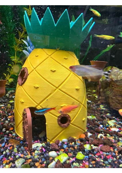 Ananas Akvaryum Evi Dekor