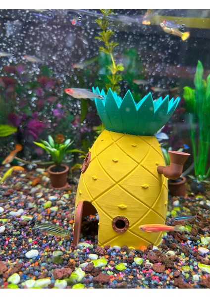 Ananas Akvaryum Evi Dekor modelleri