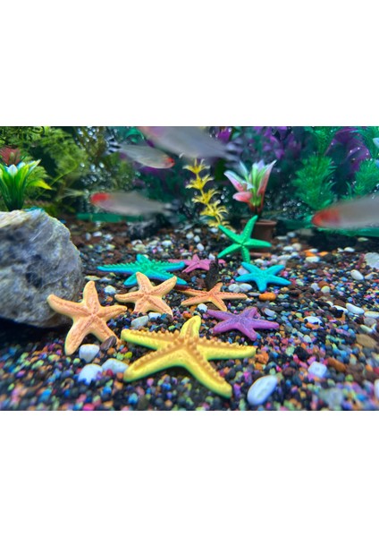 Akvaryum Dekoru Deniz Yıldızı Seti – 9’lu