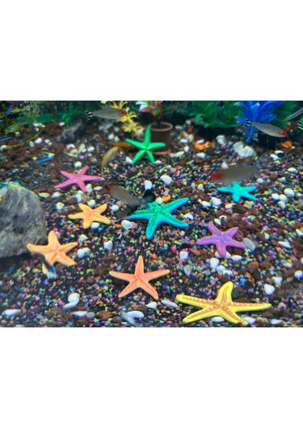 Akvaryum Dekoru Deniz Yıldızı Seti – 9’lu fiyatları