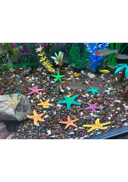 Akvaryum Dekoru Deniz Yıldızı Seti – 9’lu