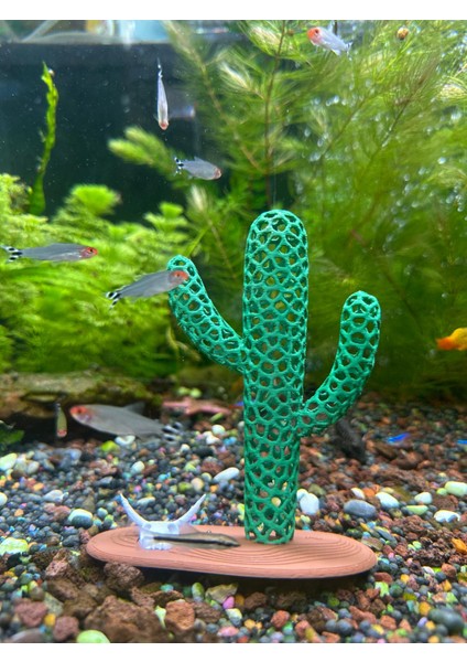 Akvaryum Dekoru Kaktüs Model